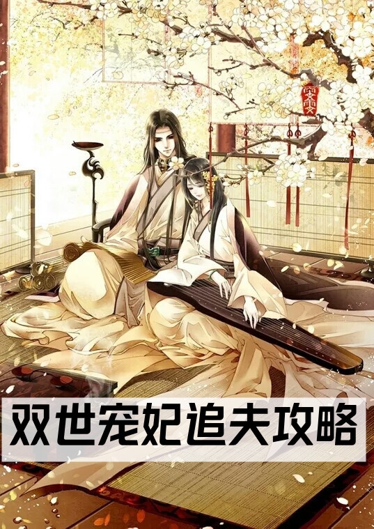 双世宠妃追夫攻略
