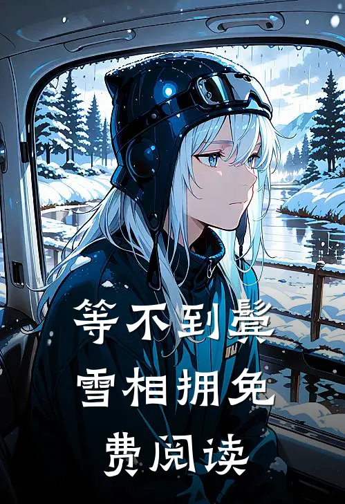 等不到鬓雪相拥免费阅读
