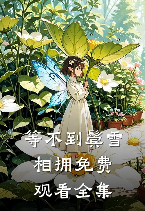 等不到鬓雪相拥免费观看全集