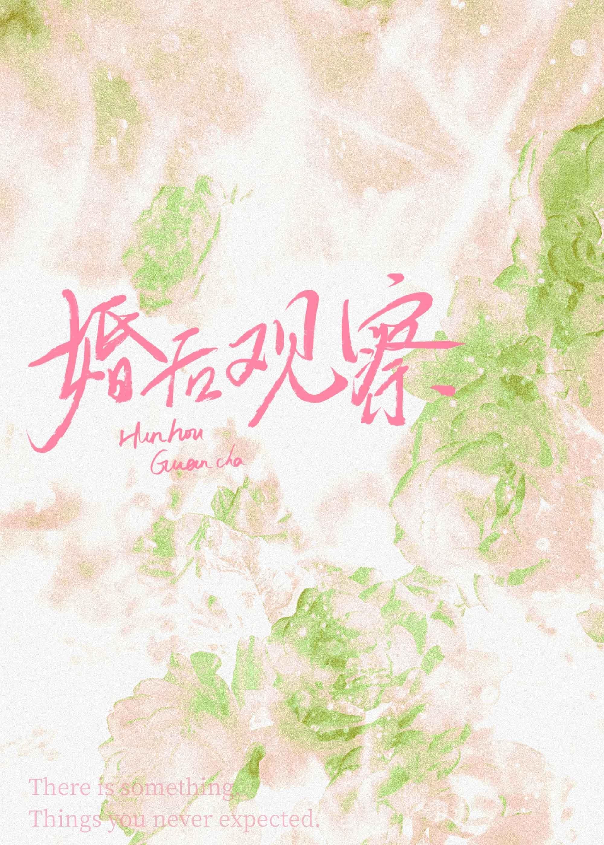 二嫁后，我的新任夫君有秘密林月鸣江升