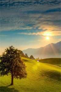 说好为爱做三，他们却反悔要名分无删减+无广告