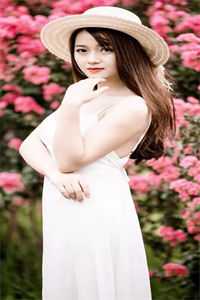 飞雁渡春秋几重火爆小说