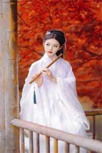 官运巅峰，从美女书记开始崛起李博李处年无删减+无广告