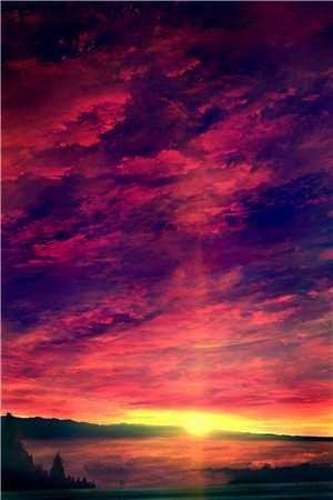 飞花落尽旧梦寒全文+免费