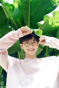 春野不知乔木深热门