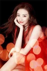 她曾把光藏入怀免费