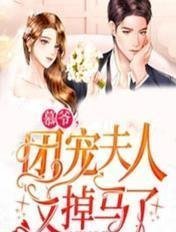 高质量小说权力：刑之官途