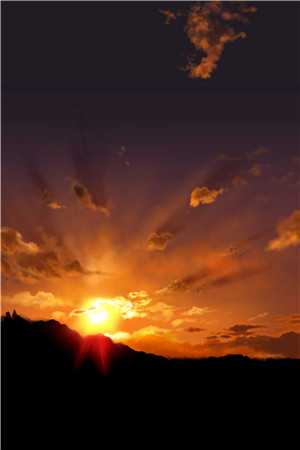 旧风未散的夏天最新章节