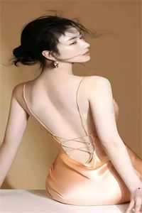 官运巅峰，从美女书记开始崛起火爆小说