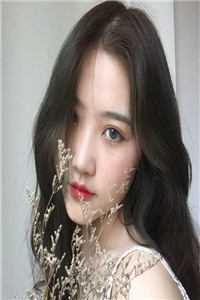 官运巅峰，从美女书记开始崛起爆款宝藏