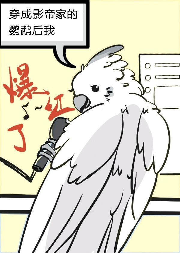 长风漫雪，吹不散旧梦陆云归