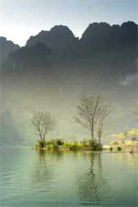 社畜神医暴富指南：从权贵到江湖最完整版