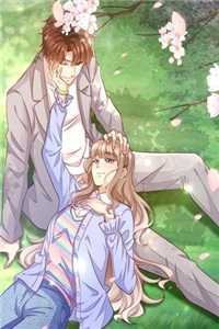 她曾把光藏入怀免费阅读