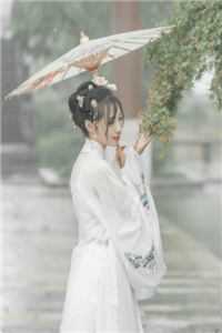 飞雁渡春秋几重结局+番外