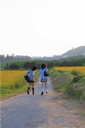 雪迟再不归优质全文阅读