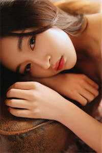 她曾把光藏入怀全本