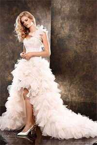 我决意赴死后，迟来的爱才汹涌全文免费