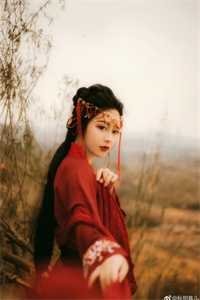 你似雪青郎君，我非杏花新娘无删减版