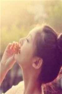 风过不提旧人名夏夭陆行砚全局