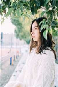 三年喂狗，一夜间变柠檬精全章节阅读