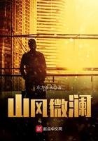 官运巅峰，从美女书记开始崛起畅读精品小说